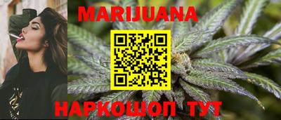 сатива Апшеронск