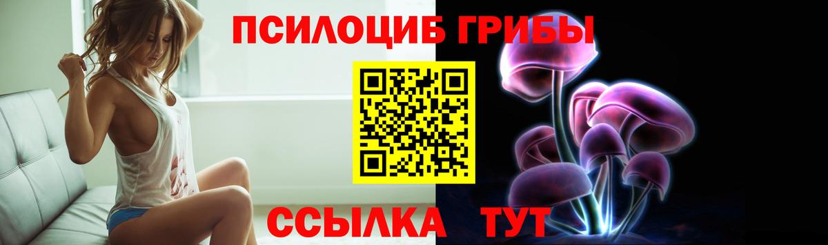 Псилоцибиновые грибы прущие грибы Владимир