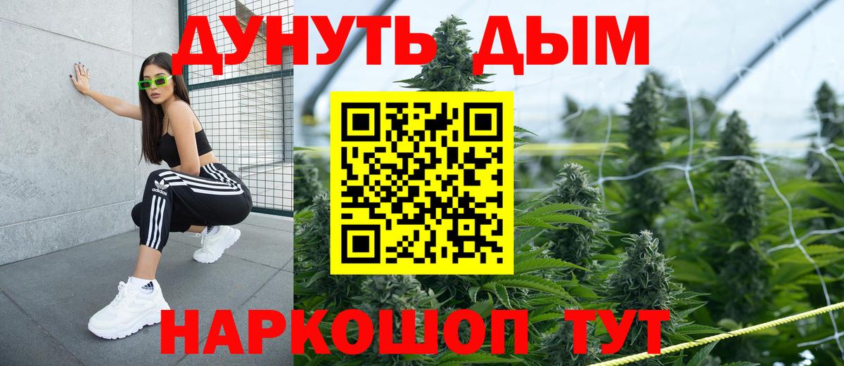 Бошки марихуана THC 21%  Шишки марихуана планчик  Вход с VPN  Владимир  Конопля Bruce Banner  МАРИХУАНА планчик 